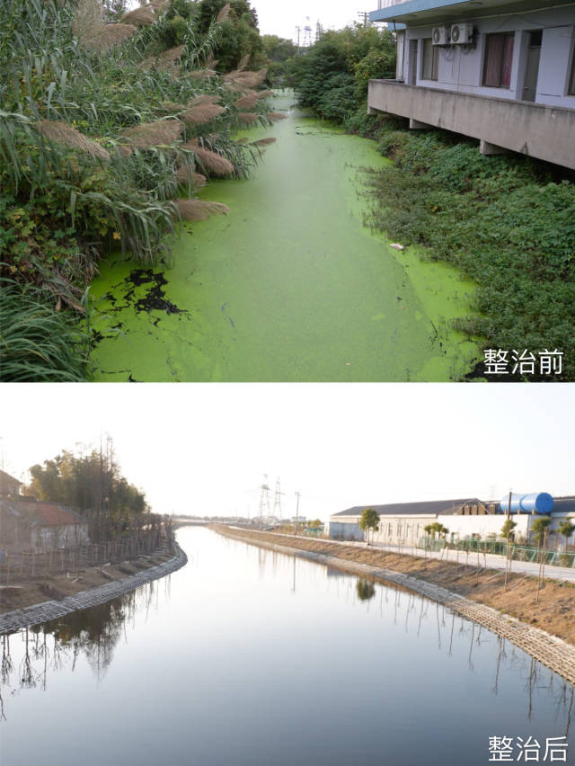 重庆黑臭水治理的生态答卷：从控源截污到河道景观水治理的系统实践