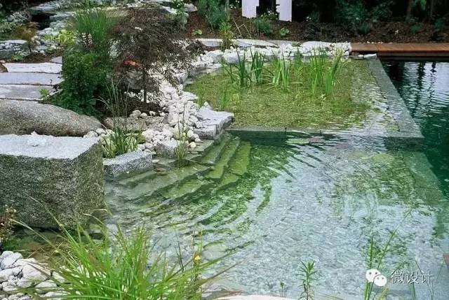 景观水处理